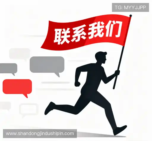 项目咨询
